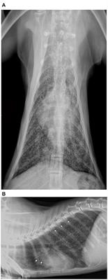 Case Report: A Case Series Linked to Vitamin D Excess in Pet Food: Cholecalciferol (Vitamin D3) Toxicity Observed in Five Cats